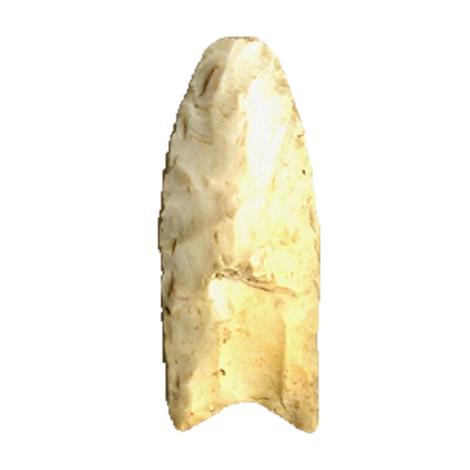 Clovis Fluted point, photo 36