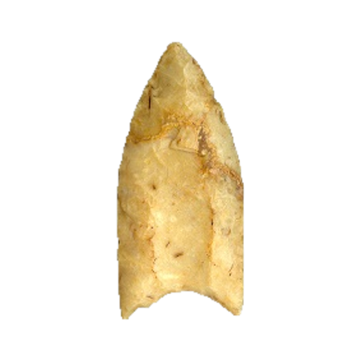 Clovis Fluted point, photo 48