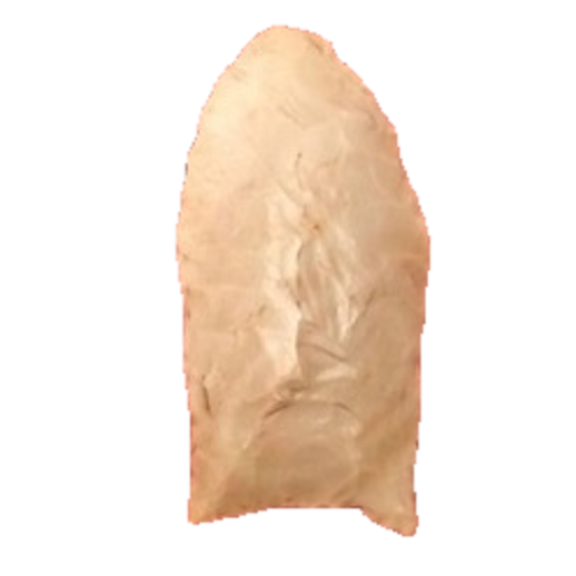 Clovis Fluted point, photo 52