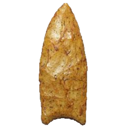 Clovis Fluted point, photo 59