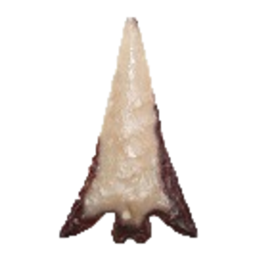 Columbia Plateau point, photo 3