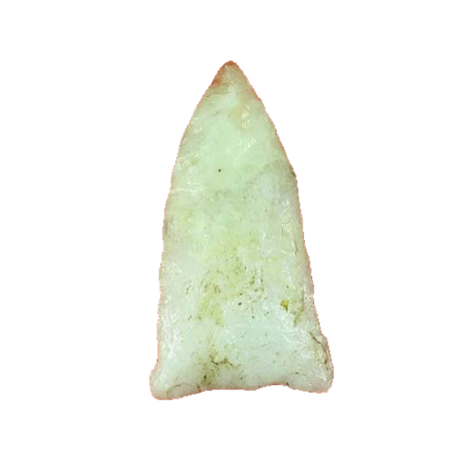 Copena Auriculated point, photo 3