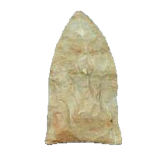 Copena Auriculated point, photo 4