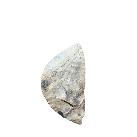 Crescent Knife - Archaic point, photo 13