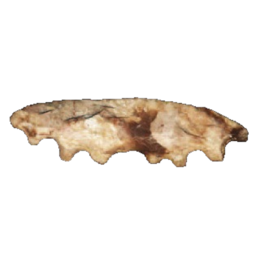 Crescent Knife - Paleo point, photo 6