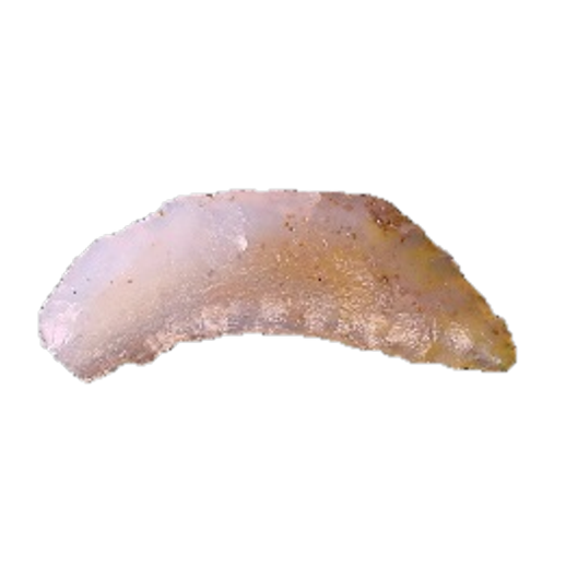 Crescent Knife - Paleo point, photo 8
