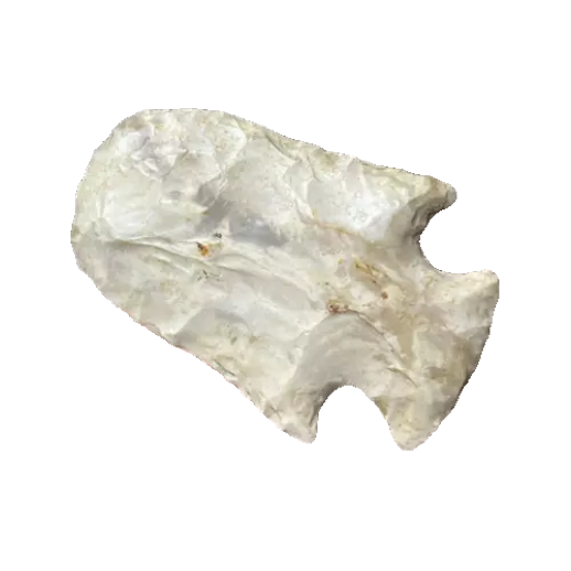 Cupp point, photo 14