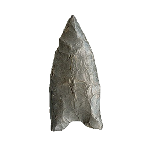 Dalton Auriculate point, photo 17
