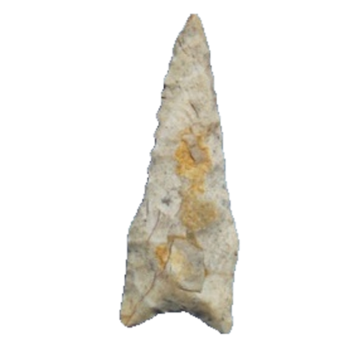 Dalton Auriculate point, photo 24