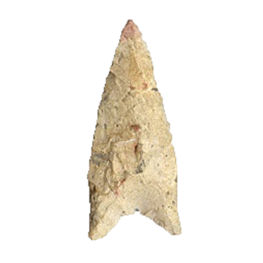 Dalton Auriculate point, photo 35