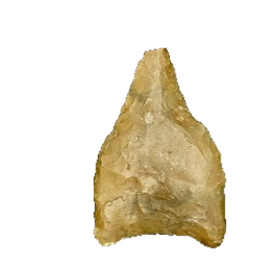 Dalton Auriculate point, photo 43