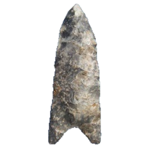 Dalton Auriculate point, photo 45