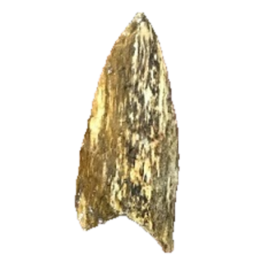 Dalton Auriculate point, photo 47