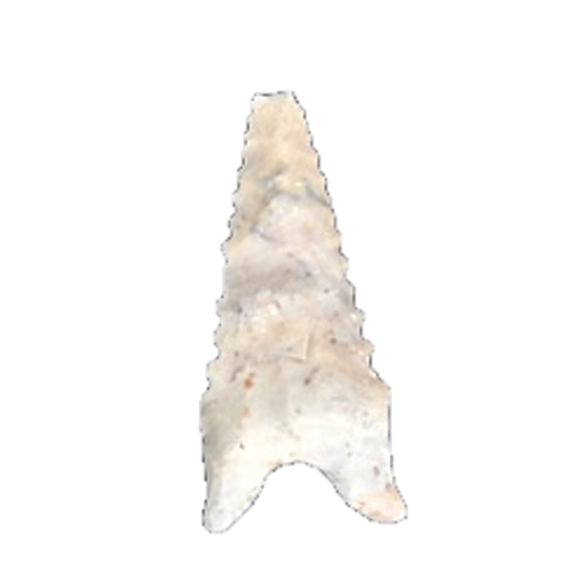 Dalton Auriculate point, photo 48