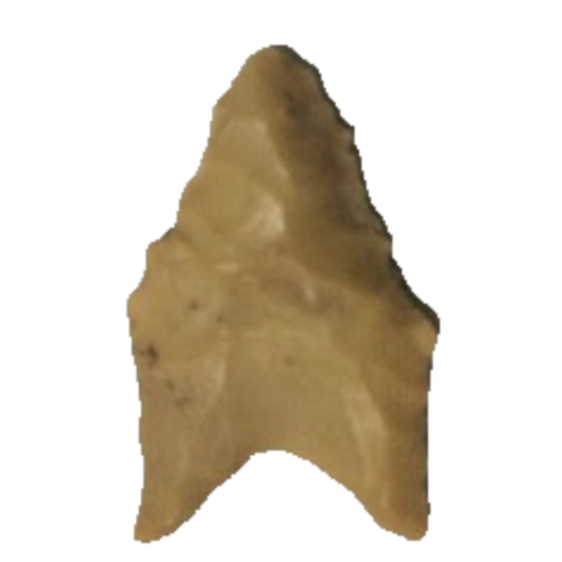 Dalton Auriculate point, photo 50