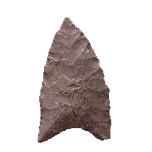Dalton Auriculate point, photo 51
