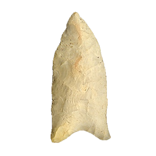 Dalton Auriculate point, photo 67