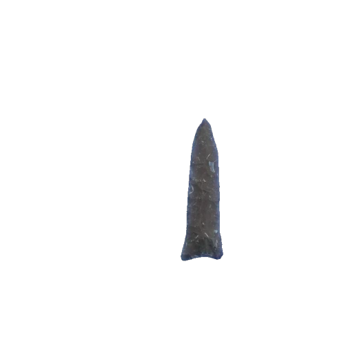 Darl Blade point, photo 2