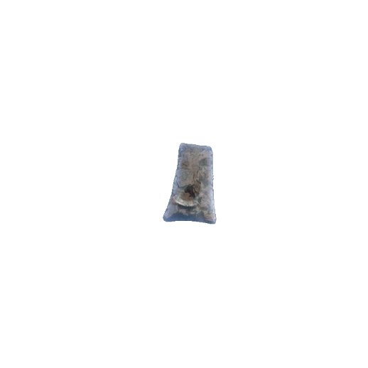 Darl Blade point, photo 8