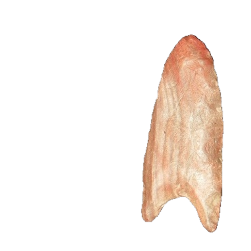 Debert Fluted point, photo 2