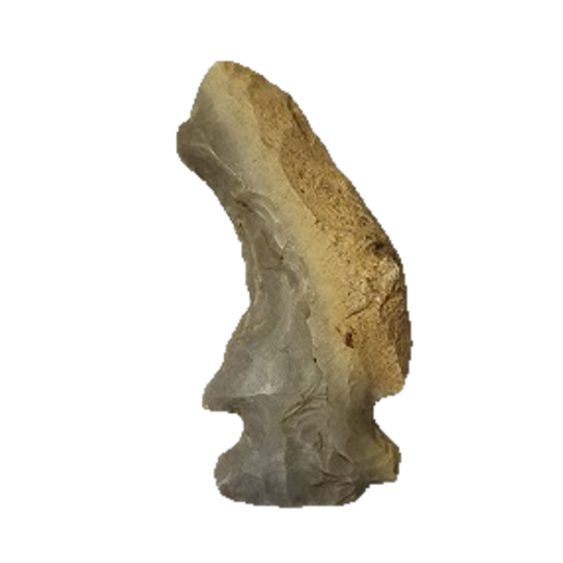 Edgefield Scraper point, photo 3