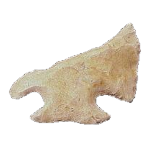 Edgefield Scraper point, photo 5