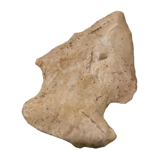 Edgefield Scraper point, photo 8
