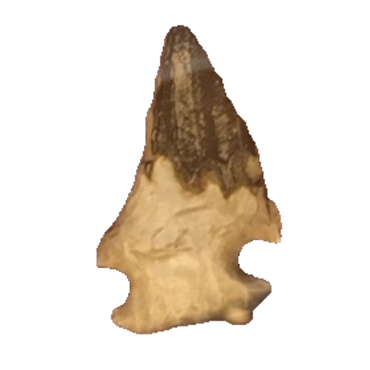 Edgefield Scraper point, photo 9