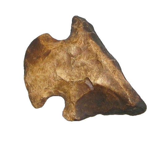 Edgefield Scraper point, photo 11