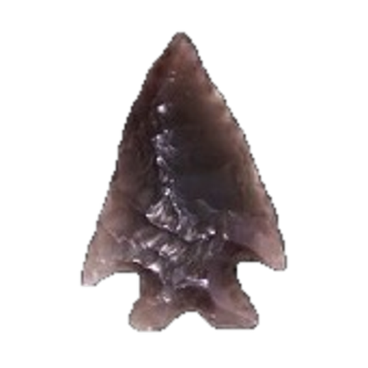 Elko Eared point, photo 3