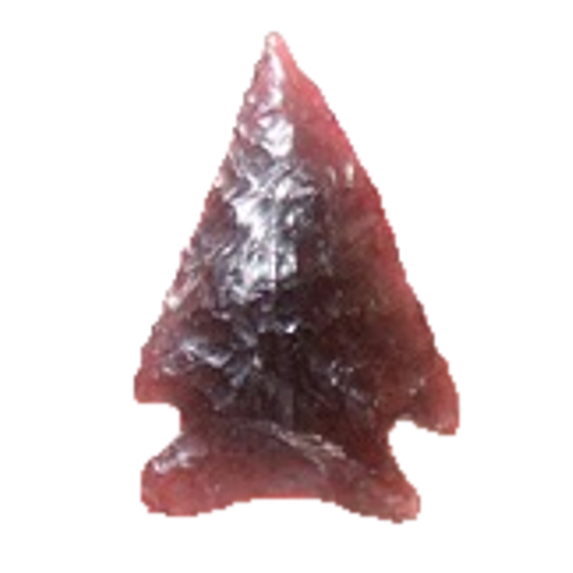 Elko Eared point, photo 6