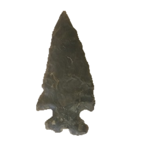 Elko Eared point, photo 9