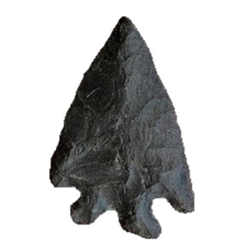 Elko Eared point, photo 11