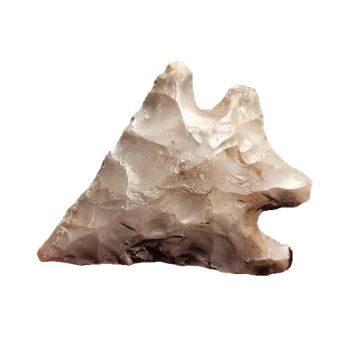 Elko Eared point, photo 16