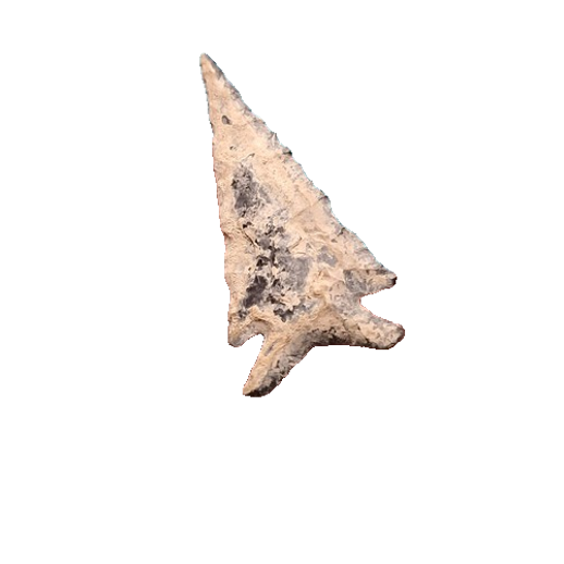 Elko Eared point, photo 21