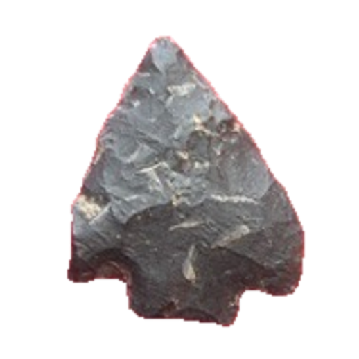 Erb point, photo 4
