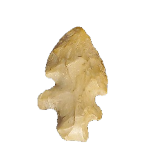 Evans Double Notch point, photo 3