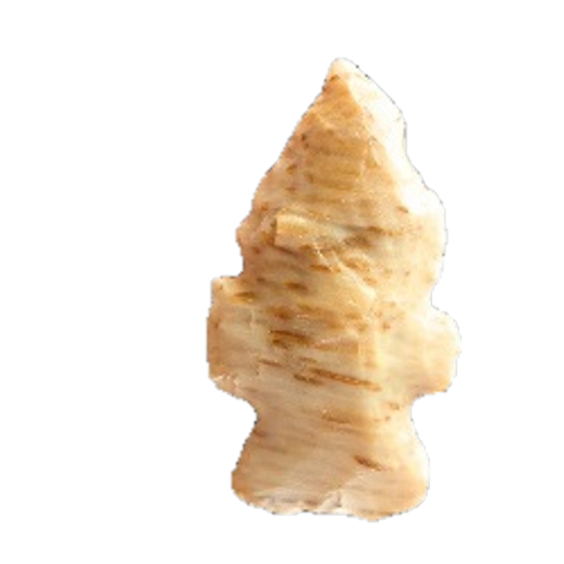 Evans Double Notch point, photo 5