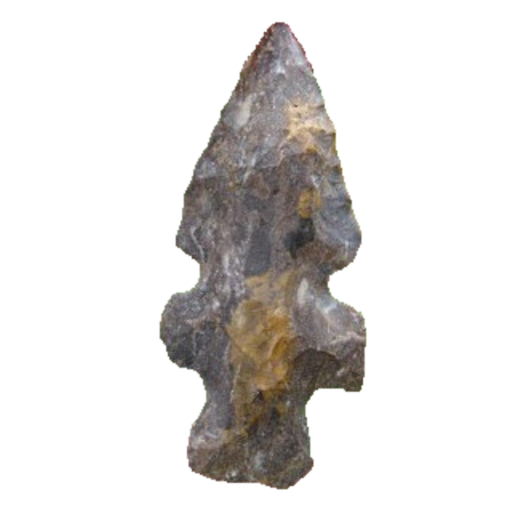Evans Double Notch point, photo 14