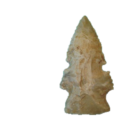 Evans Double Notch point, photo 17