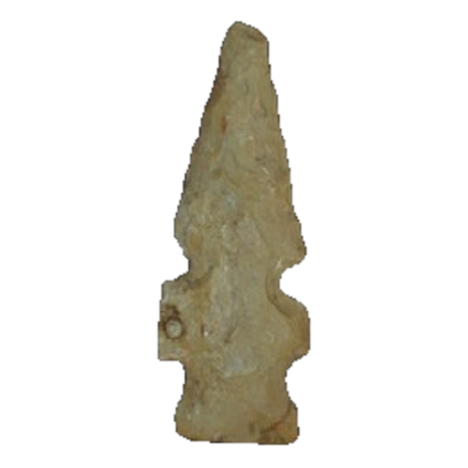 Evans Double Notch point, photo 18