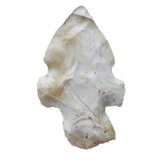 Evans Double Notch point, photo 19