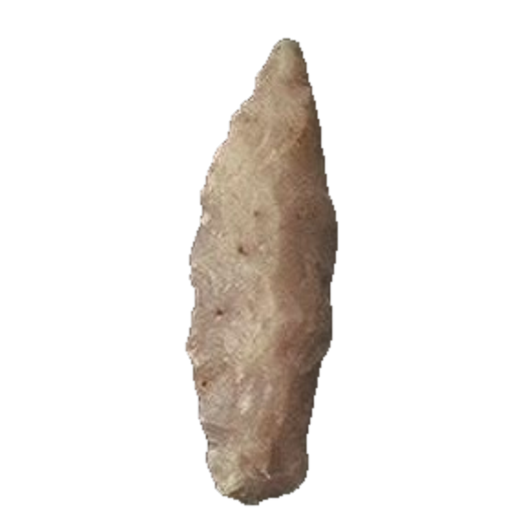 Florida Spike point, photo 2