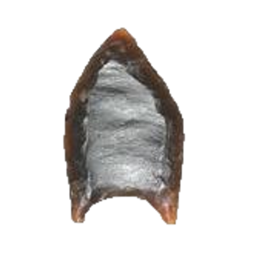 Folsom Fluted point, photo 8