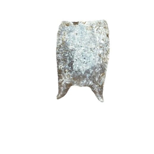 Folsom Fluted point, photo 17