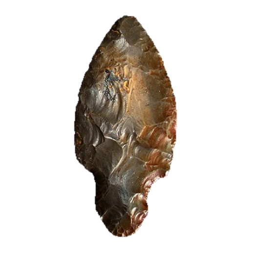 Harrison Turkeytail point, photo 12