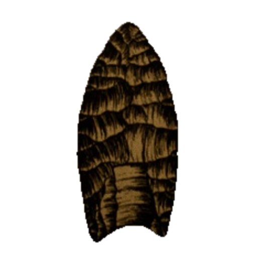 Holcombe Fluted point, photo 4
