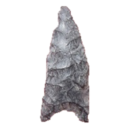 Humboldt Lanceolate point, photo 22