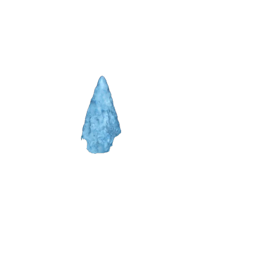 Intrusive Mound point, photo 3