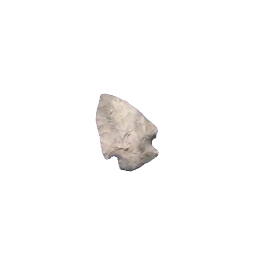 Intrusive Mound point, photo 4